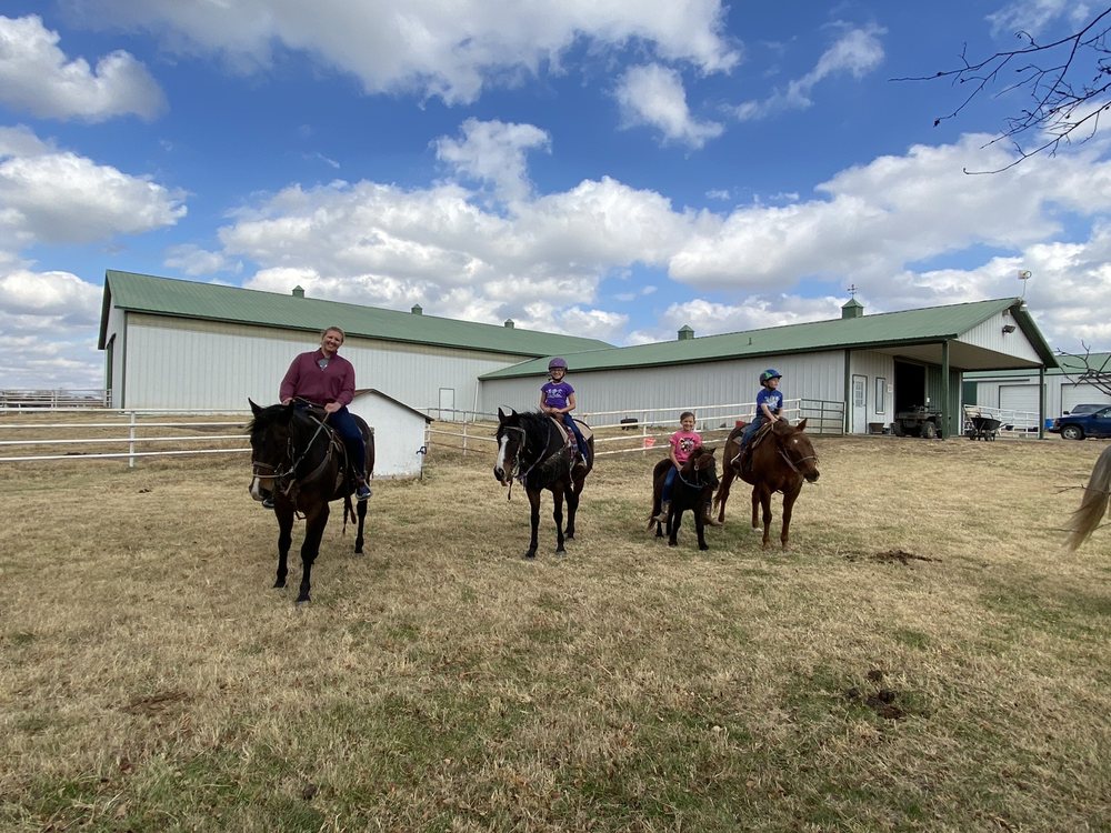 Ward Performance Horses - equestrian in Derby, KS