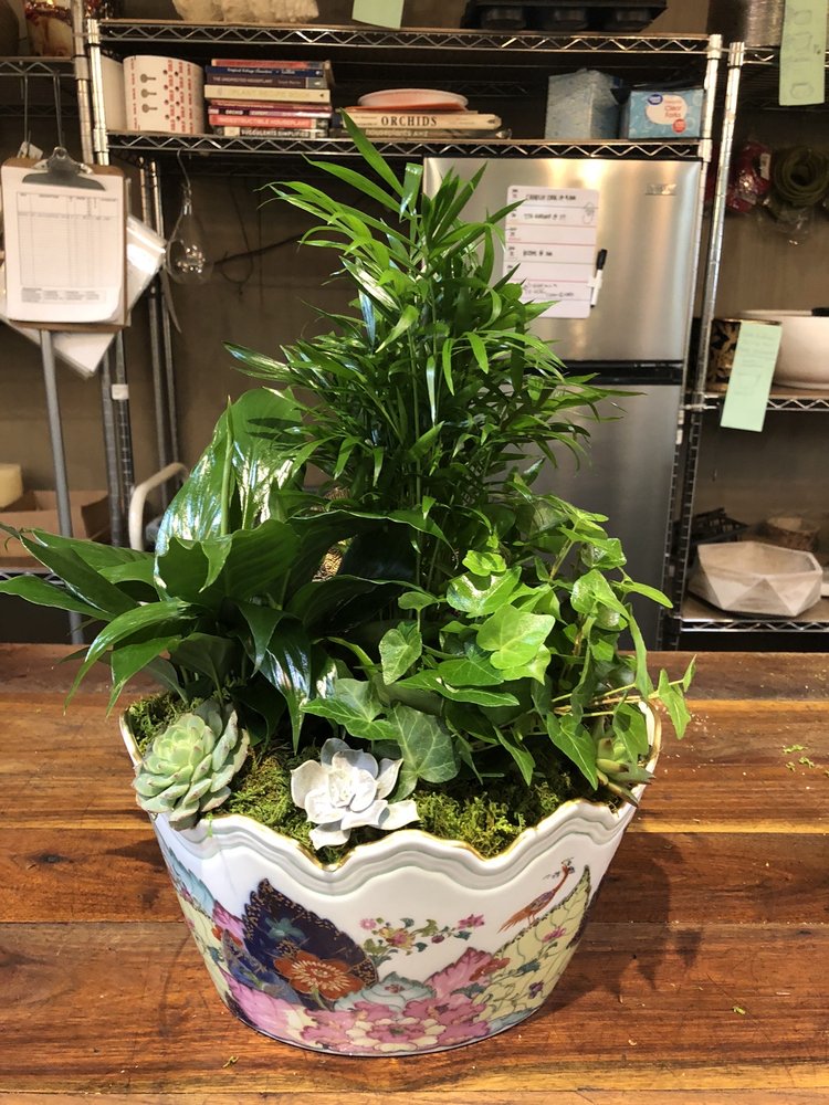 NICHOLSONHARDIE 28 Photos & 30 Reviews Nurseries & Gardening