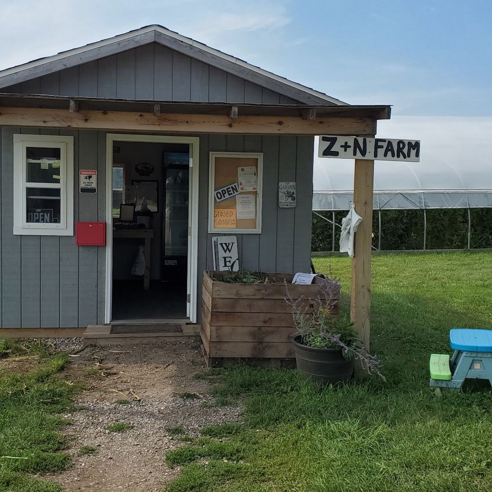 Z&N Farm - Super cute farmstand building - Farms Near Me - Bear Lake, Michigan Z&N Farm - Super cute farmstand building - Farms Near Me - Bear Lake, Michigan