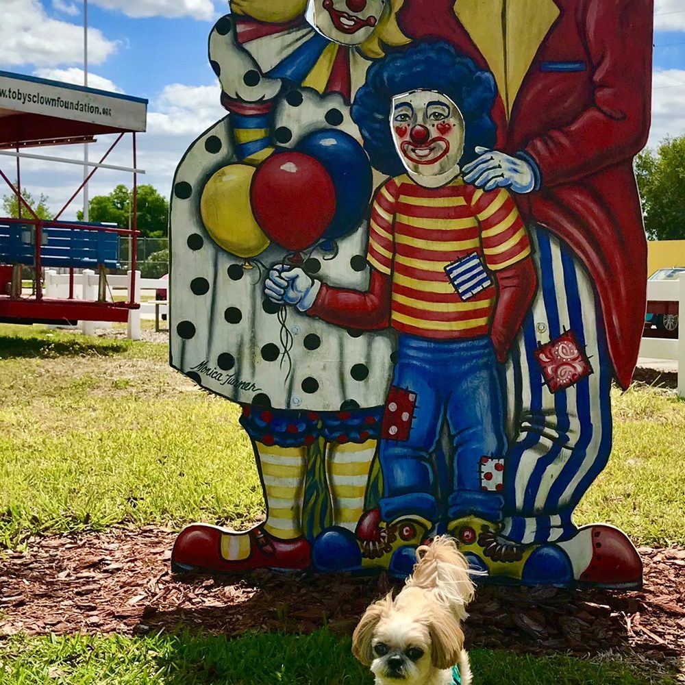 Toby the Clown Foundation - Children's Museums Near Me - Lake Placid, Florida Toby the Clown Foundation - Children's Museums Near Me - Lake Placid, Florida