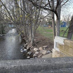 Margaret E Waldron Park - Glade run