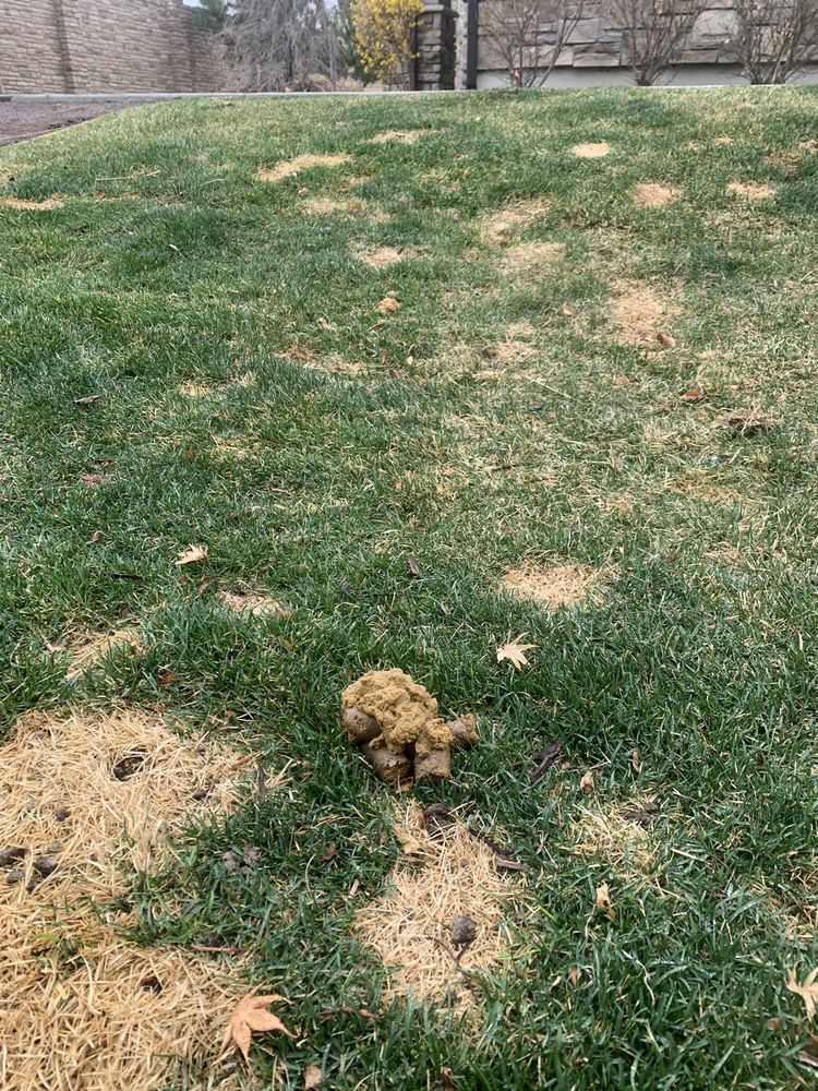 PARC AT DAY DAIRY APARTMENTS & TOWNHOMES Updated September 2024 59