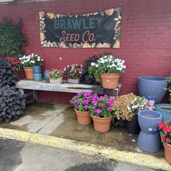 Brawley Seed Co - Nurseries & Gardening Near Me - Mooresville, North Carolina