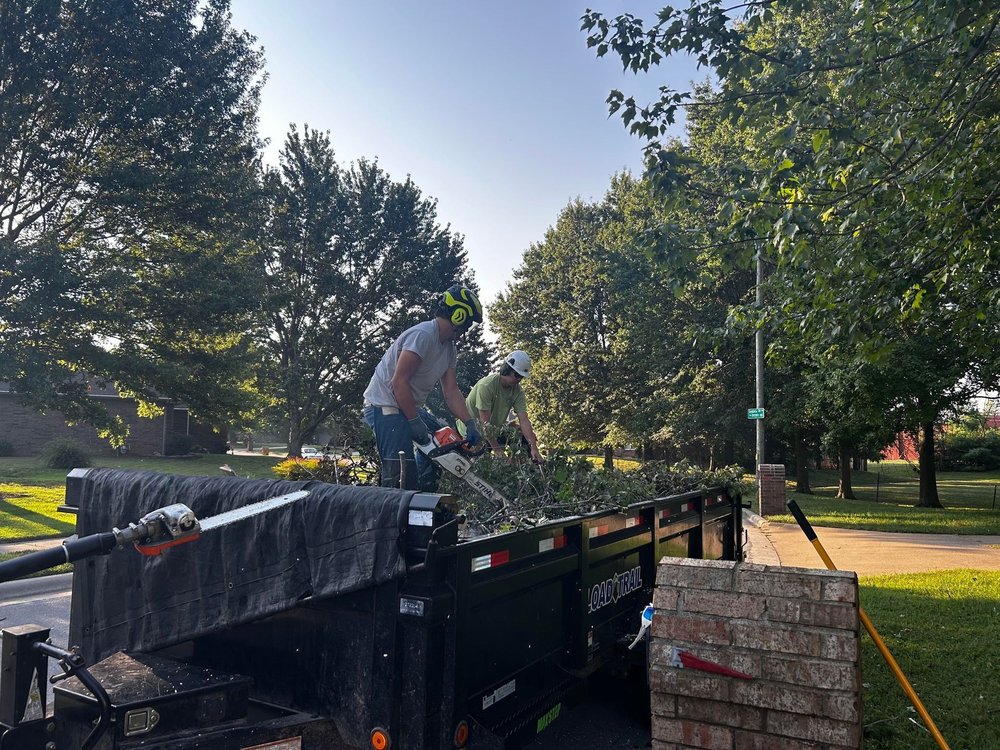 Oasis Tree Care - tree service in Springfield, MO