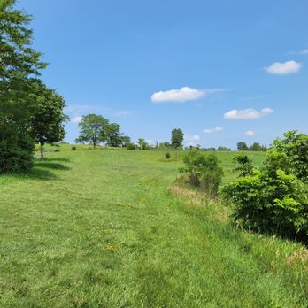 Margreth Riemer Reservoir - Disc Golf Near Me - Palatine, Illinois