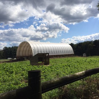 Long Stone Farm - Ranches Near Me - Lovettsville, Virginia Long Stone Farm - Ranches Near Me - Lovettsville, Virginia