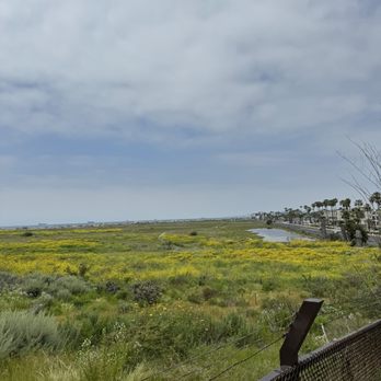 BOLSA CHICA ECOLOGICAL RESERVE - Updated August 2024 - 1415 Photos