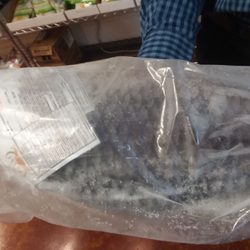 Astha Grocery and Gifts - Fish imported from the Indian Ocean