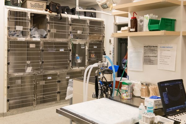 West Village Veterinary Hospital by null