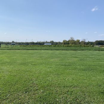 Spencer Farm Winery - The vines in the distance! - Wineries Near Me - Noblesville, Indiana Spencer Farm Winery - The vines in the distance! - Wineries Near Me - Noblesville, Indiana