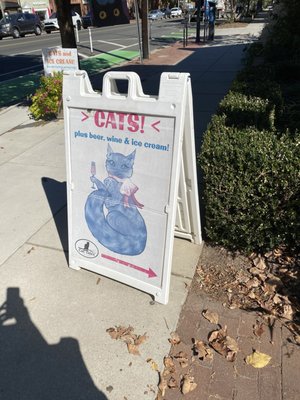 Cat Tales Cat Cafe by null