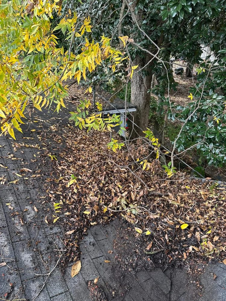 Slide of Rafter B Solutions