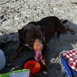 Coast Guard Station/East Beach - Tired boy