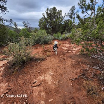 Dog Park - A picture is worth a 1,000 words - Dog Parks Near Me - Sedona, Arizona