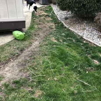 Superior Tree Service - Tree Services Near Me