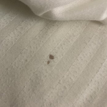 La Quinta by Wyndham Boutte - A blood stain on the sheets - Hotels Near Me - Boutte, Louisiana La Quinta by Wyndham Boutte - A blood stain on the sheets - Hotels Near Me - Boutte, Louisiana
