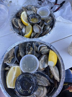 The Dock House by null