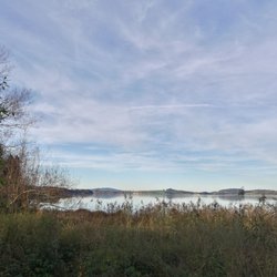 Camping Brunnen - Forggensee