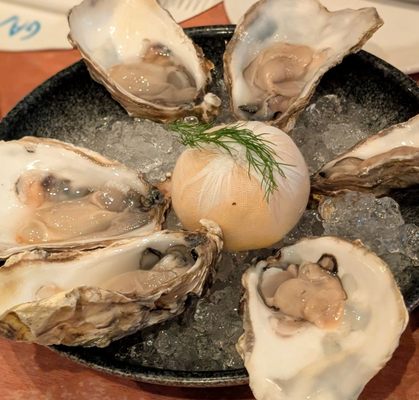 Gamba by null