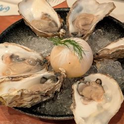Gamba - Oysters, took this pic as soon as it came out and ice was half melted