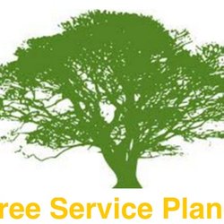 Tree Service Plano - Tree Service Plano