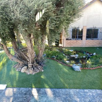The Turf Guy - Artificial Turf Near Me - Santa Monica, California The Turf Guy - Artificial Turf Near Me - Santa Monica, California