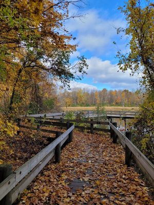 Maybury State Park by null
