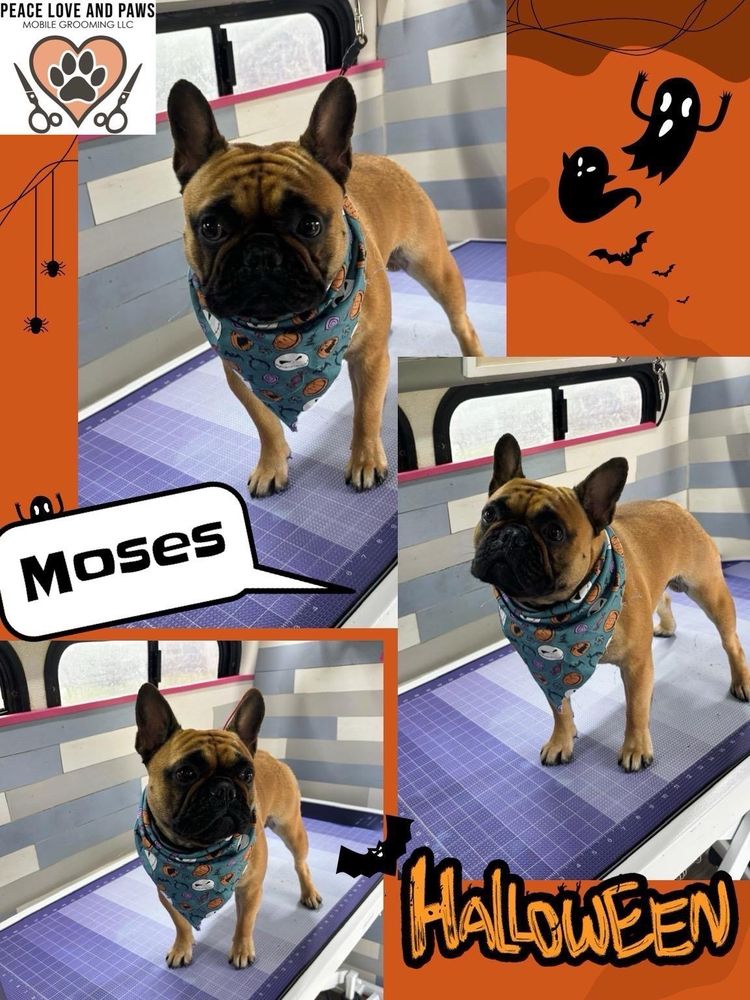 PEACE, LOVE AND PAWS MOBILE GROOMING Updated October 2024 Pinson Dr