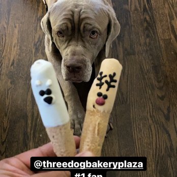 Three Dog Bakery - Pet Stores Near Me - Kansas City, Missouri Three Dog Bakery - Pet Stores Near Me - Kansas City, Missouri