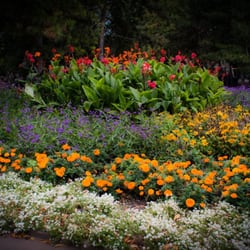 Arenbergpark