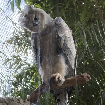 The Dallas World Aquarium - Whats up? - Aquariums Near Me - Dallas, Texas The Dallas World Aquarium - Whats up? - Aquariums Near Me - Dallas, Texas
