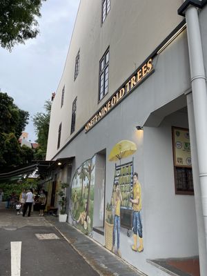 99 Old Trees Durian by null