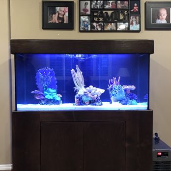 Oceans Aquarium Design - Aquarium Services Near Me - Signal Hill, California