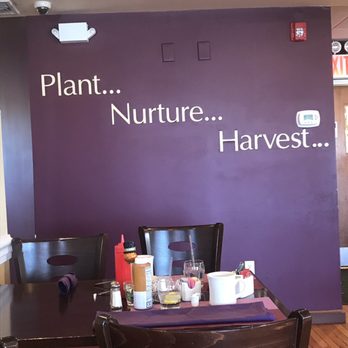 Harvest Cafe - Backwall inside - Cafes Near Me - Staten Island, New York Harvest Cafe - Backwall inside - Cafes Near Me - Staten Island, New York