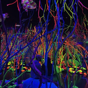 The Real Unreal - Meow Wolf - Art Museums Near Me - Grapevine, Texas