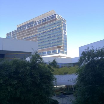 Hammer Museum - Museums Near Me - Los Angeles, California Hammer Museum - Museums Near Me - Los Angeles, California