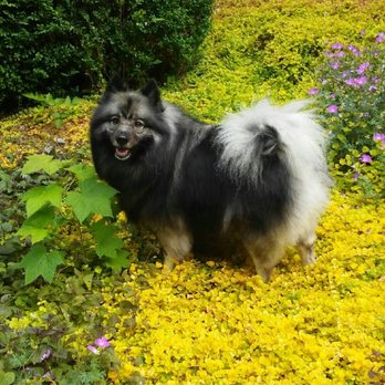 Northshore Veterinary Hospital - Veterinarians Near Me - Bellingham, Washington Northshore Veterinary Hospital - Veterinarians Near Me - Bellingham, Washington