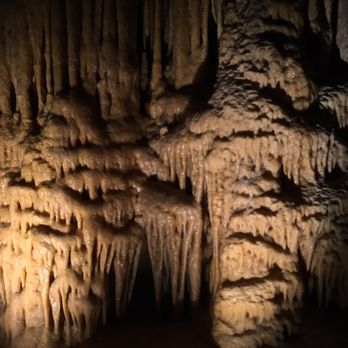 Natural Bridge Caverns - Inside the caverns of the discovery tour - Tours Near Me - San Antonio, Texas Natural Bridge Caverns - Inside the caverns of the discovery tour - Tours Near Me - San Antonio, Texas