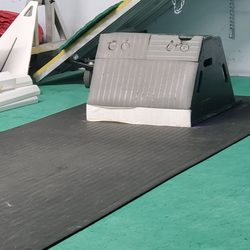 Go Dogs - Flyball Box