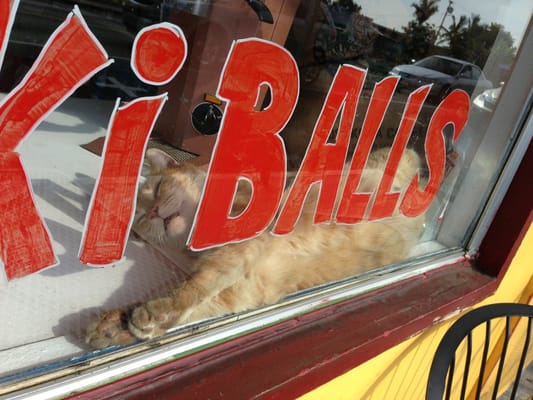 The Original Donkey Ball Store by null