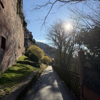Heidelberg Castle - the walk down from the castle - Castles Near Me - Heidelberg, BW Heidelberg Castle - the walk down from the castle - Castles Near Me - Heidelberg, BW