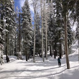 Aspen Trail