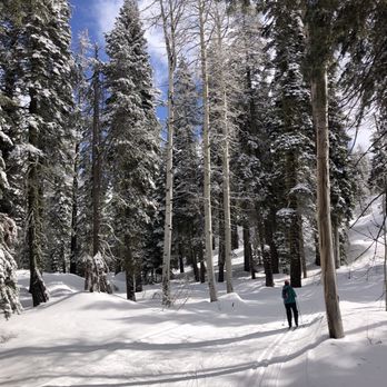Bear Valley Adventure Company - Aspen Trail - Ski Resorts Near Me - Bear Valley, California