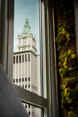 Hide Rooftop by null