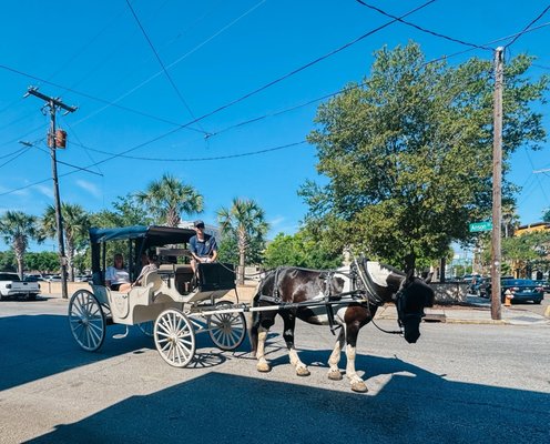 Palmetto Carriage Works by null