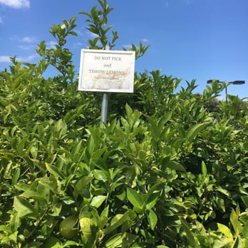 Kona Kai Swim & Racquet Club