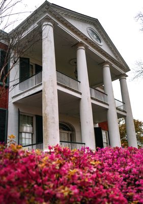 Rosalie Mansion and Gardens by null