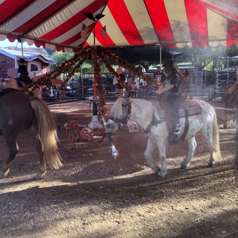 Peltzer Pumpkin Farm - pony's eyes are covered - Pumpkin Patches Near Me - Temecula, California