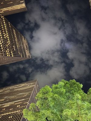 Adel's Famous Halal Food by null