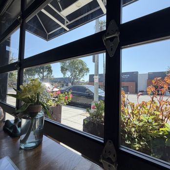 Te- Buru - nice and cool on a hot day. good natural lighting - Sushi Bars Near Me - Long Beach, California Te- Buru - nice and cool on a hot day. good natural lighting - Sushi Bars Near Me - Long Beach, California